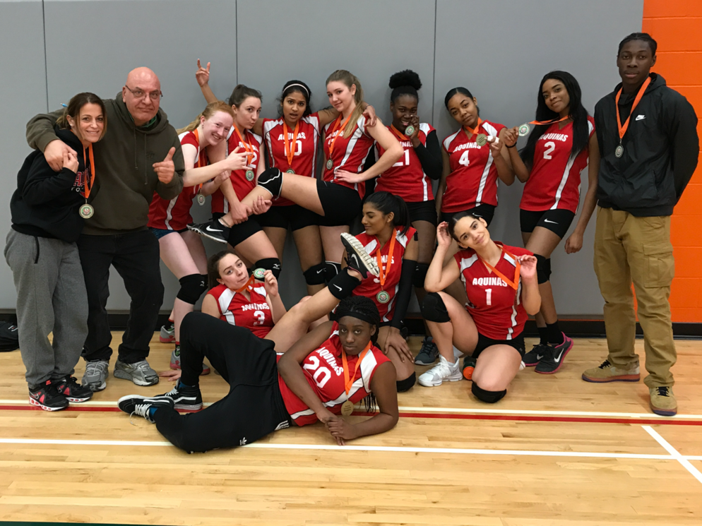 Picture of a Volleyball Team