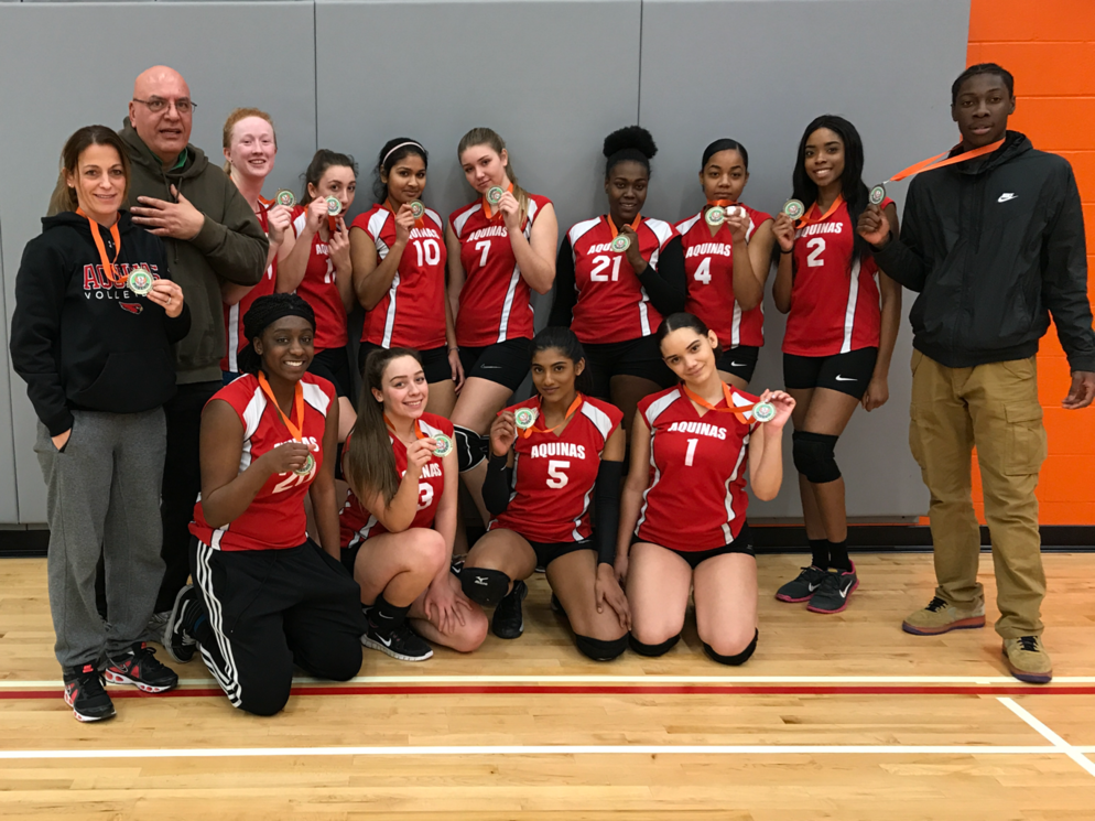 Picture of a Volleyball Team