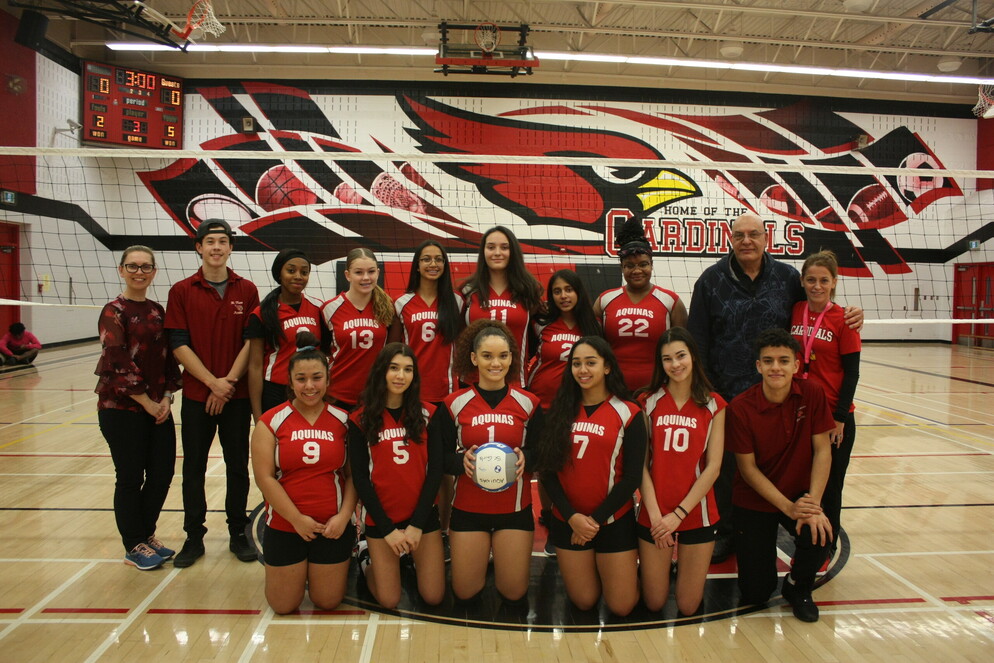 Picture of a Volleyball Team