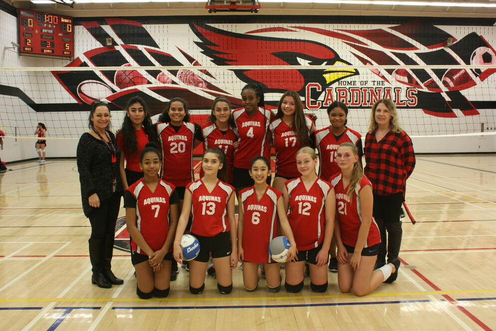 Picture of a Volleyball Team