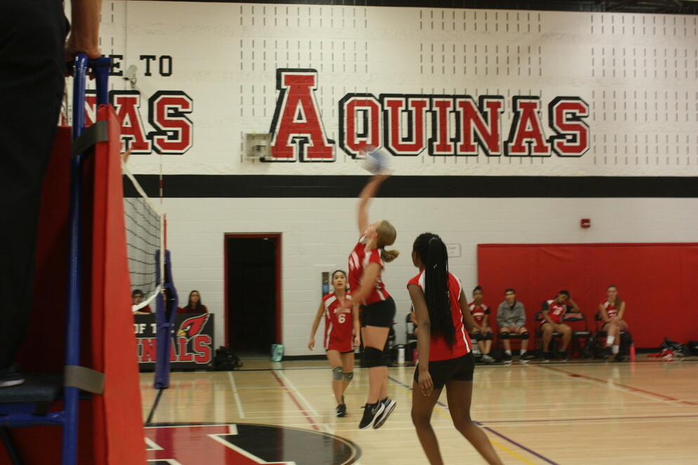 Picture of someone playing volleyball